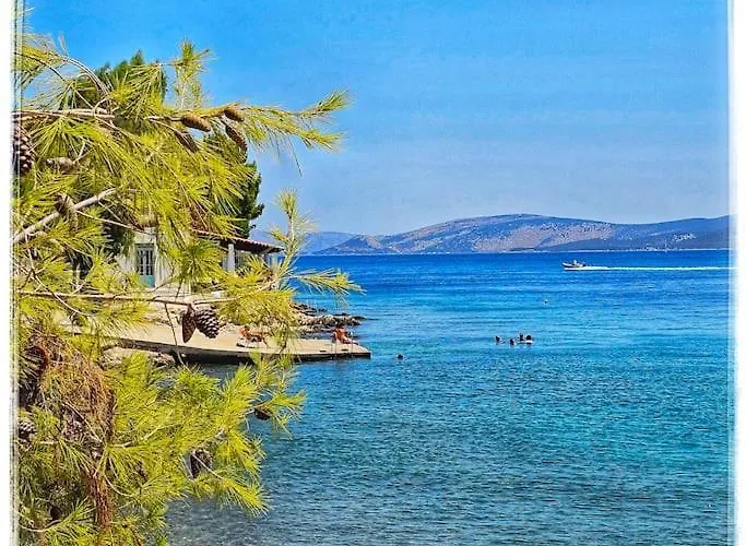 Petit Paradis Grec Loukaiti